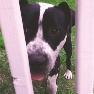 Meet your Posher, Shonn gotmymindright